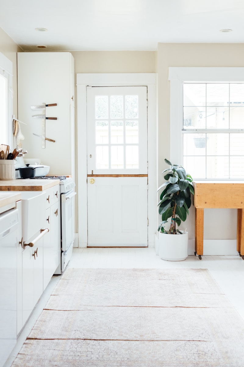 green potted leaf plant beside white wooden door, home insurance